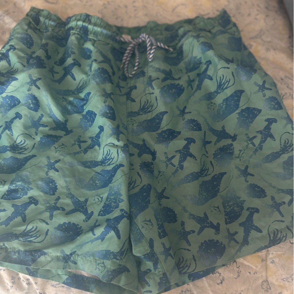 Southern Tide Green and Blue Swim Trunks